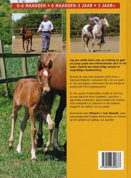 Grote foto de training van het jonge paard boeken hobby en vrije tijd