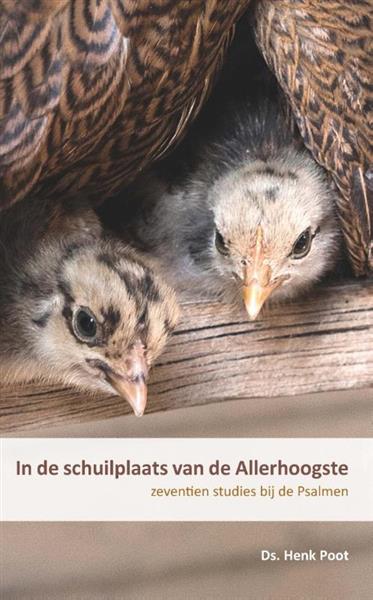 Grote foto in de schuilplaats van de allerhoogste boeken overige boeken