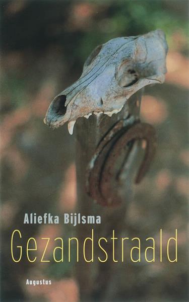 Grote foto gezandstraald boeken overige boeken