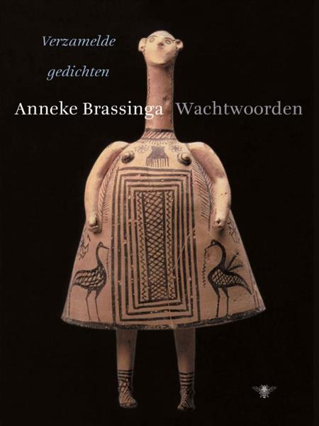 Grote foto wachtwoorden boeken overige boeken