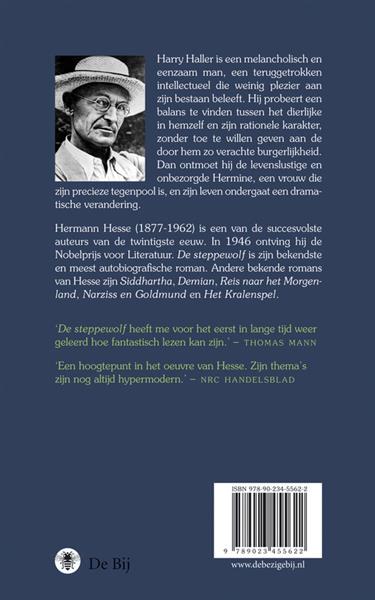 Grote foto de steppewolf boeken overige boeken