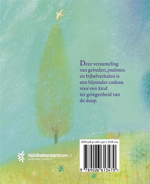 Grote foto mijn doopboek boeken overige boeken