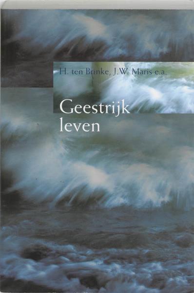 Grote foto geestrijk leven boeken overige boeken
