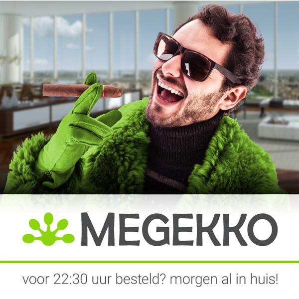 Grote foto startech.com usb c naar displayport 1.4 kabel bidirectioneel 2 m computers en software overige computers en software