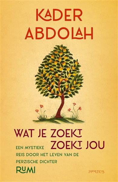 Grote foto wat je zoekt zoekt jou boeken overige boeken