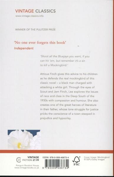 Grote foto to kill a mockingbird vintage classics boeken overige boeken