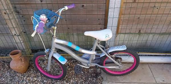 Grote foto kinderfiets met mand fietsen en brommers meisjesfietsen