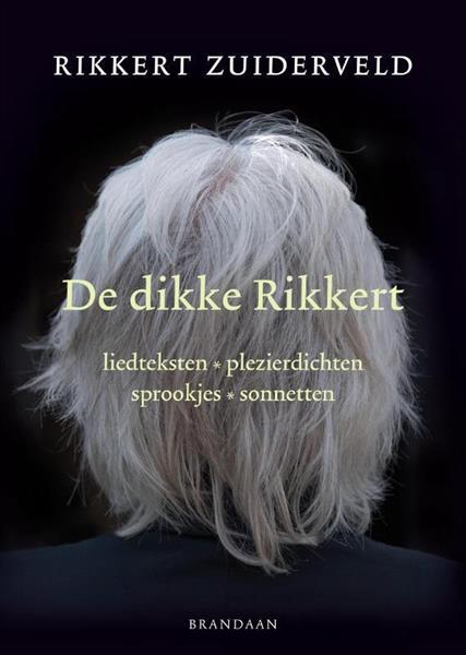 Grote foto dikke rikkert de boeken overige boeken