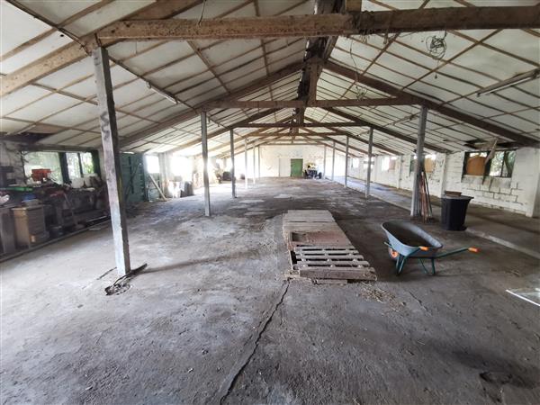 Grote foto huis woning met weide te koop in nazareth huizen en kamers vrijstaand