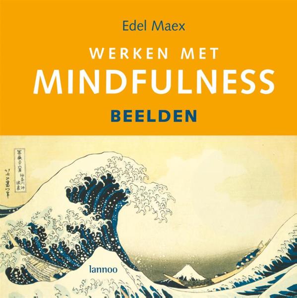 Grote foto werken met mindfulness boeken psychologie