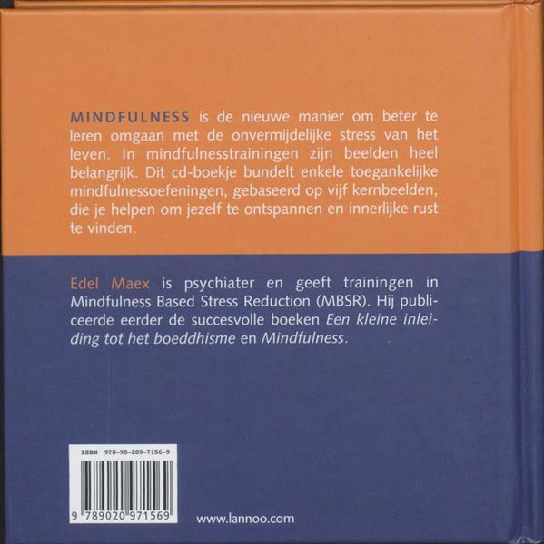 Grote foto werken met mindfulness boeken psychologie
