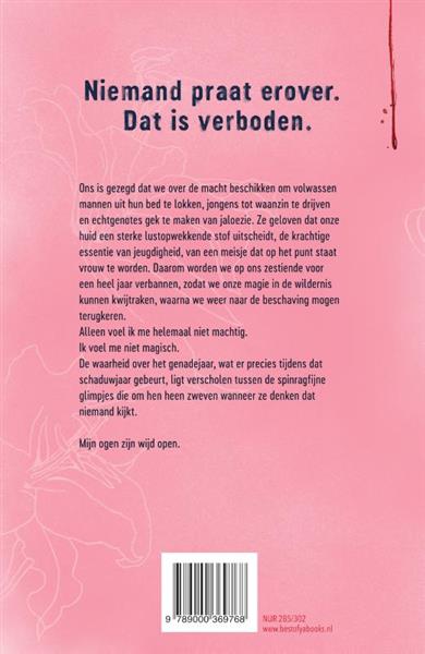 Grote foto het schaduwjaar boeken jeugd 13 jaar en ouder