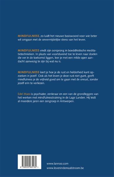 Grote foto mindfulness boeken psychologie