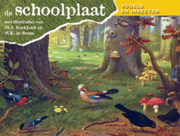 Grote foto de schoolplaat vogels en insecten boeken hobby en vrije tijd