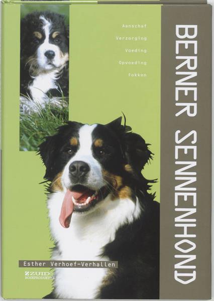 Grote foto berner sennen. aanschaf verzorging voeding fokken boeken hobby en vrije tijd