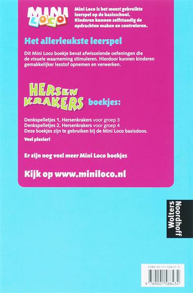 Grote foto hersenkrakers groep 3 mini loco 1 boeken overige boeken