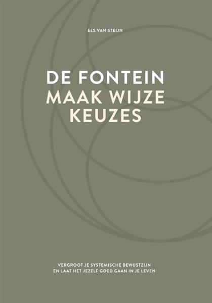 Grote foto de fontein maak wijze keuzes boeken psychologie