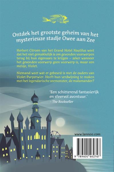 Grote foto het geheim van de malamander owee aan zee 1 boeken jeugd 13 jaar en ouder