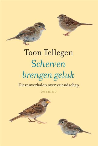 Grote foto scherven brengen geluk boeken overige boeken