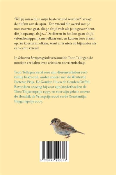 Grote foto scherven brengen geluk boeken overige boeken