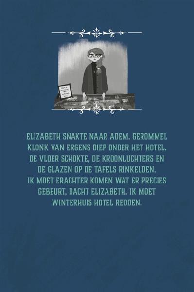 Grote foto het mysterie van winterhuis hotel winterhuis boeken jeugd 13 jaar en ouder