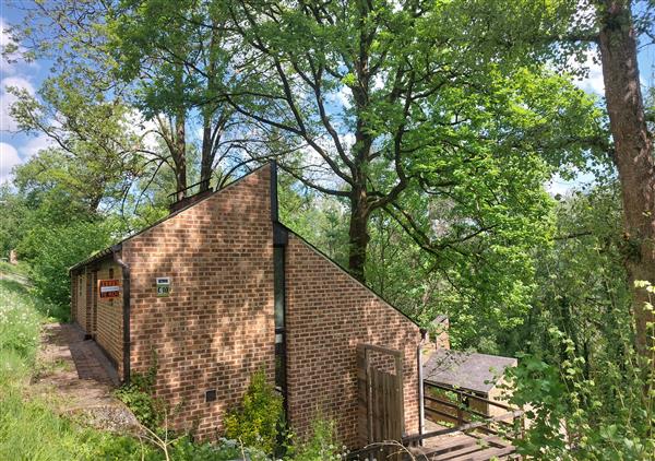 Grote foto bungalow te koop in domein du bonsoy hastiere huizen en kamers twee onder een kap