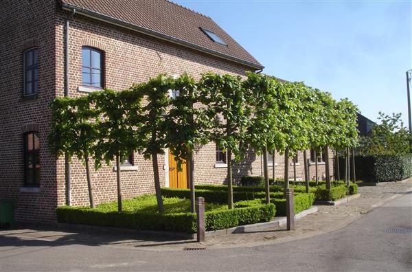 Grote foto woning woonboerderij huizen en kamers woonboerderij