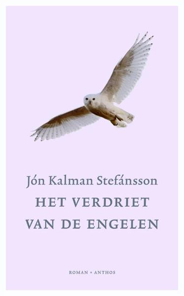 Grote foto het verdriet van de engelen de jongen 2 boeken overige boeken