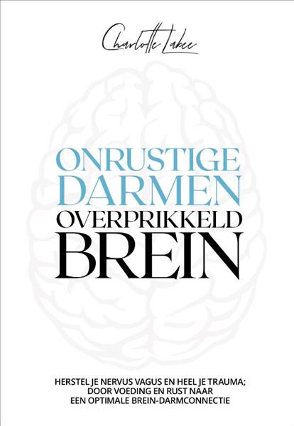 Grote foto onrustige darmen overprikkeld brein boeken overige boeken