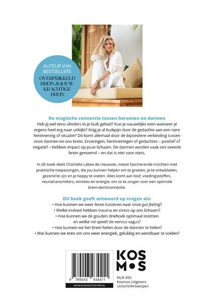 Grote foto onrustige darmen overprikkeld brein boeken overige boeken