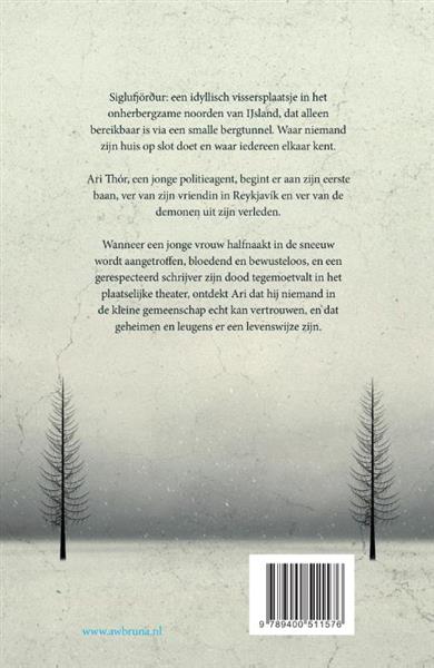 Grote foto sneeuwblind duister ijsland 1 boeken thrillers