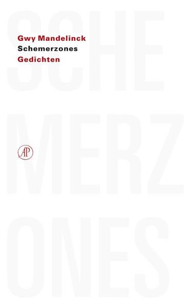 Grote foto schemerzones boeken overige boeken