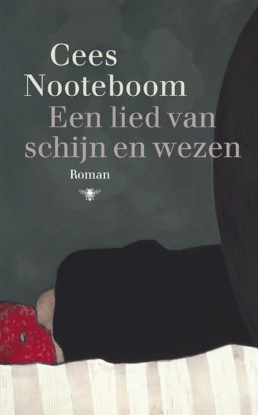 Grote foto een lied van schijn en wezen boeken overige boeken
