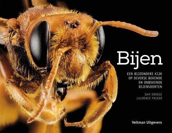 Grote foto bijen boeken hobby en vrije tijd