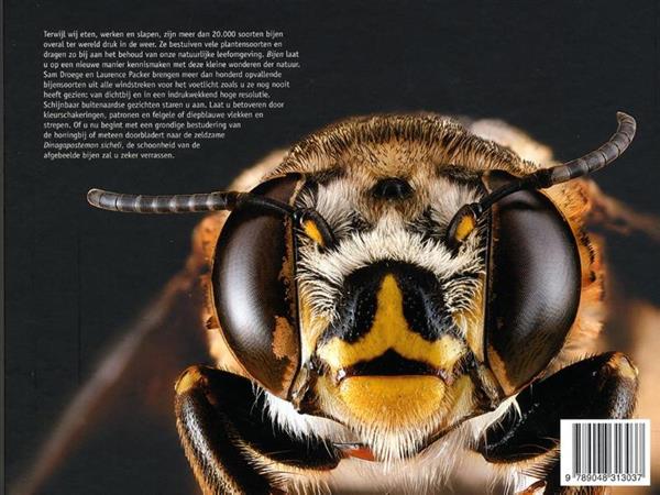 Grote foto bijen boeken hobby en vrije tijd