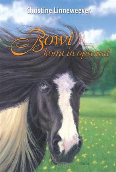 Grote foto bowi gouden paarden boeken jeugd 13 jaar en ouder