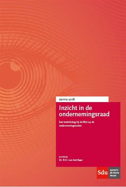 Grote foto inzicht in de ondernemingsraad boeken wetenschap