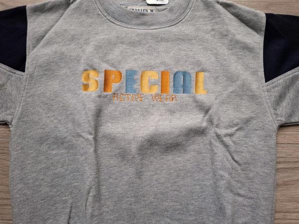 Grote foto lichtgrijze sportieve sweater met accenten med l kleding dames truien en vesten