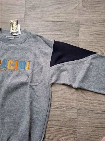 Grote foto lichtgrijze sportieve sweater met accenten med l kleding dames truien en vesten