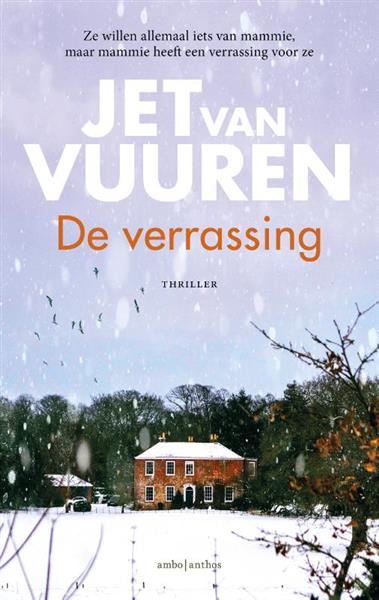 Grote foto de verrassing boeken thrillers