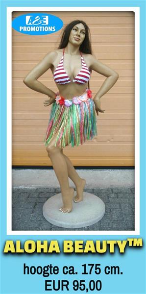 Grote foto verhuur brabant beachparty decors aloha beauty diversen overige diversen