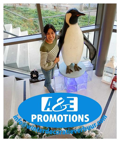 Grote foto pinguin met ijsblokken xl verhuur ijstroon gent diversen overige diversen