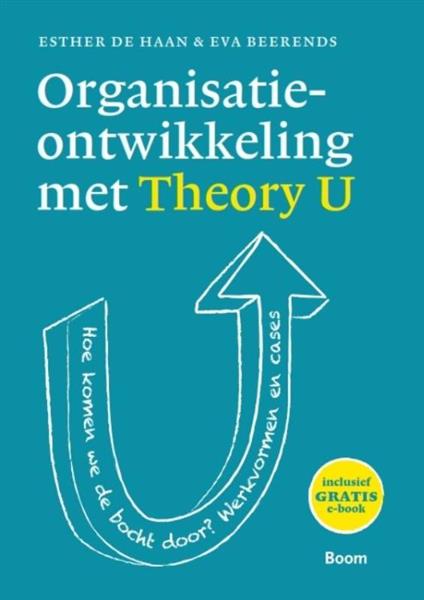 Grote foto organisatieontwikkeling met theory u boeken overige boeken