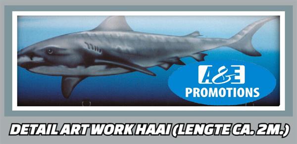 Grote foto beachsport attractie verhuur brabant turnhout sport en fitness overige sport en fitness