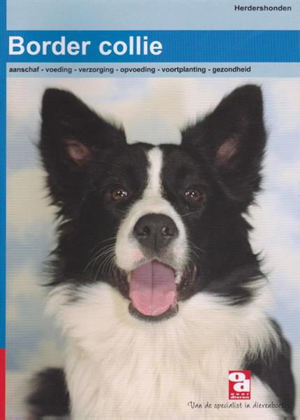 Grote foto de border collie over dieren 070 boeken hobby en vrije tijd