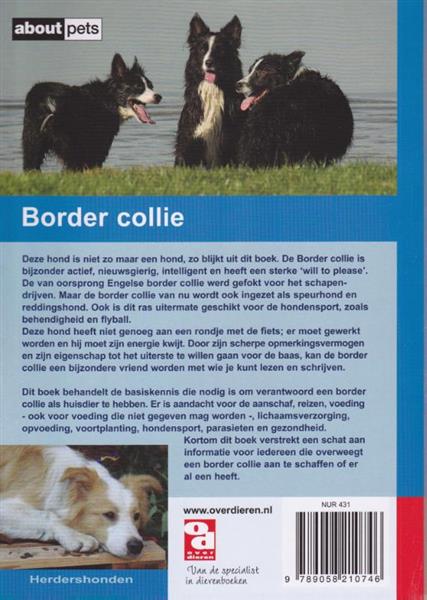 Grote foto de border collie over dieren 070 boeken hobby en vrije tijd