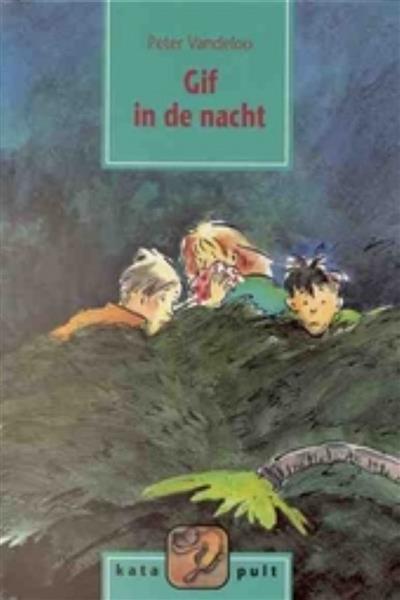 Grote foto gif in de nacht boeken jeugd 13 jaar en ouder