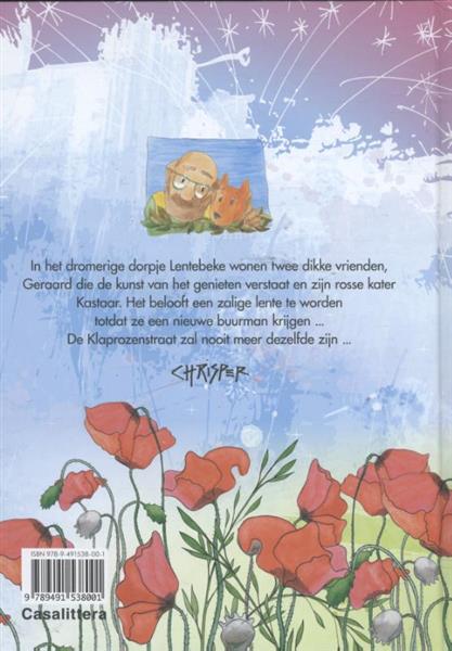 Grote foto de knal in de straat geraard kastaar boeken jeugd 13 jaar en ouder