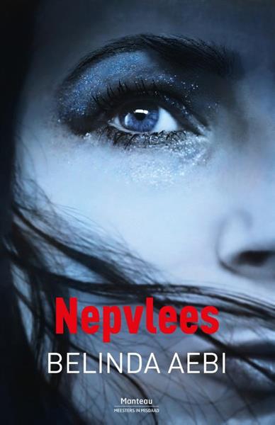 Grote foto nepvlees meesters in misdaad boeken thrillers