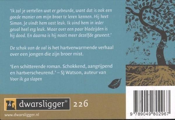 Grote foto de schok van de val dwarsligger 226 boeken overige boeken